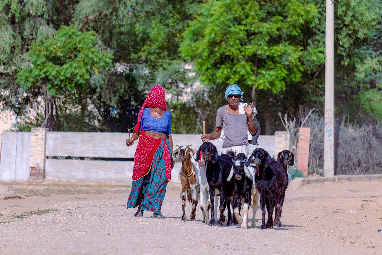 General public health awareness